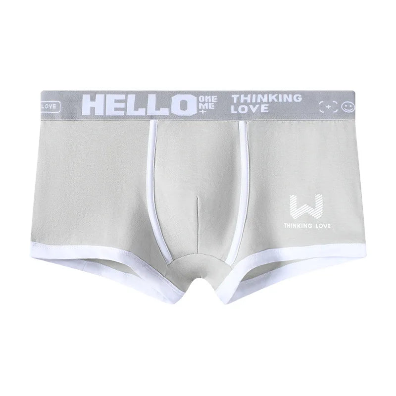Men Panties Cotton BoxerShorts Man Underwear Mens Boxers Breathable U Convex Male Underpants Sexy Plus Size cuecas calzoncillos